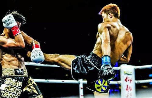 吃瓜娱乐拳击比赛直播在线观看